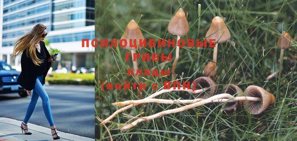 МДПВ Абдулино